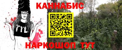 МДПВ Гусев