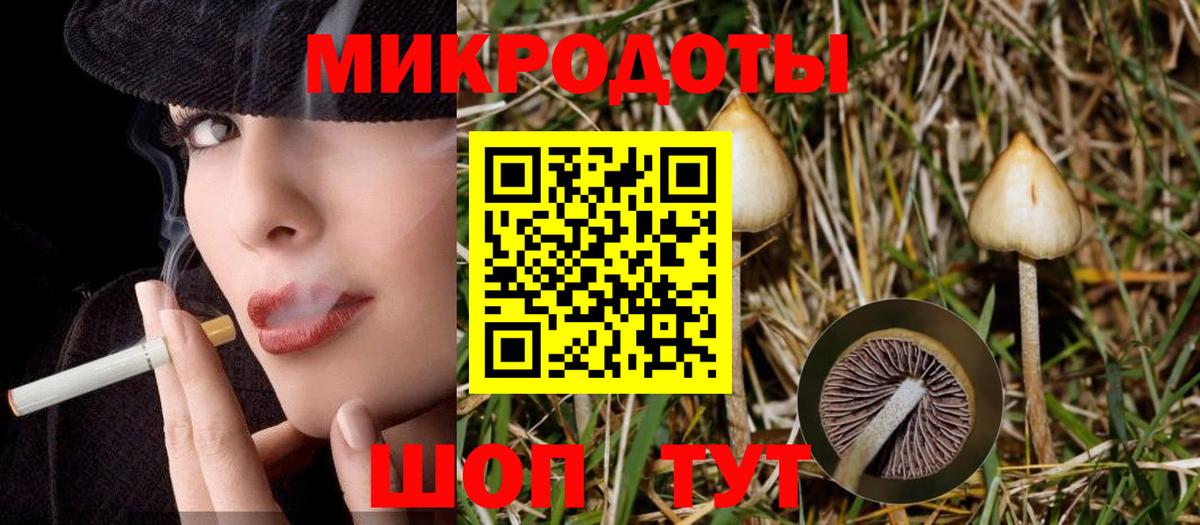 где купить наркоту  Псилоцибиновые грибы Magic Shrooms  Вход с VPN  Вологда  Галлюциногенные грибы ЛСД 