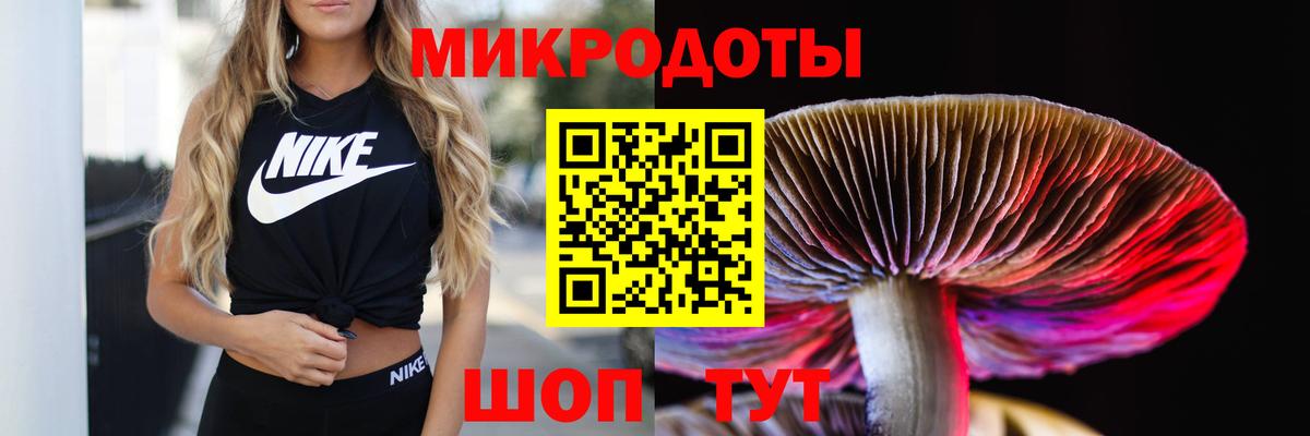 Галлюциногенные грибы Magic Shrooms Вологда