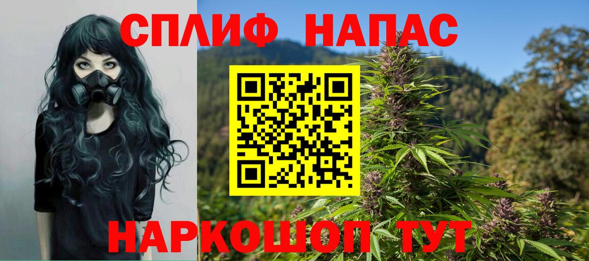 Марихуана конопля Вологда